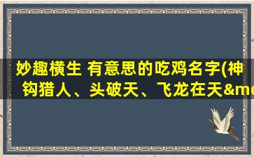 妙趣横生 有意思的吃鸡名字(神钩猎人、头破天、飞龙在天——史上zui有趣的吃鸡名字汇总)